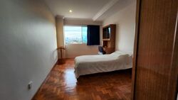 BURGHLEY DRIVE (D19), Semi-Detached #453956911